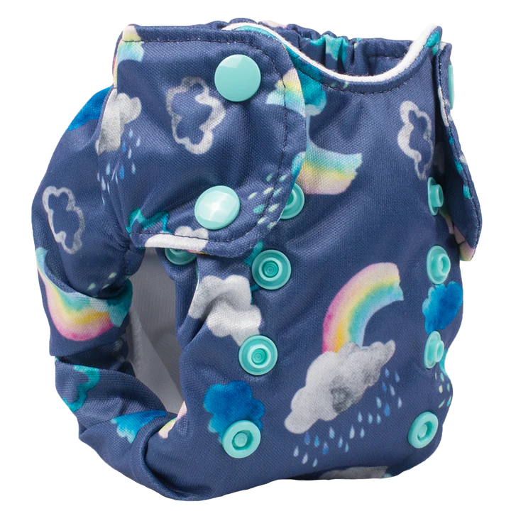 Smart Bottoms Born Smart 2.0 Newborn AIO Cloth Diaper (FINAL SALE)