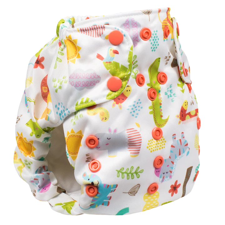Smart Bottoms Dream Diaper 2.0 (FINAL SALE)